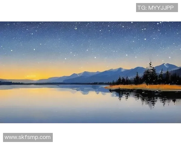 法国足球明星的璀璨星空与他们的辉煌成就探秘